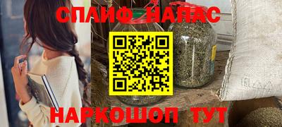 PSILOCYBIN Заводоуковск