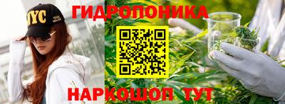 ПСИЛОЦИБИНОВЫЕ ГРИБЫ Заволжье