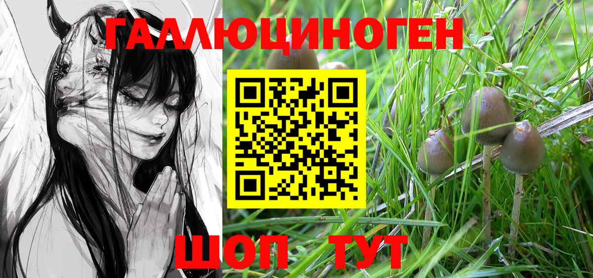 Псилоцибиновые грибы GOLDEN TEACHER Муром